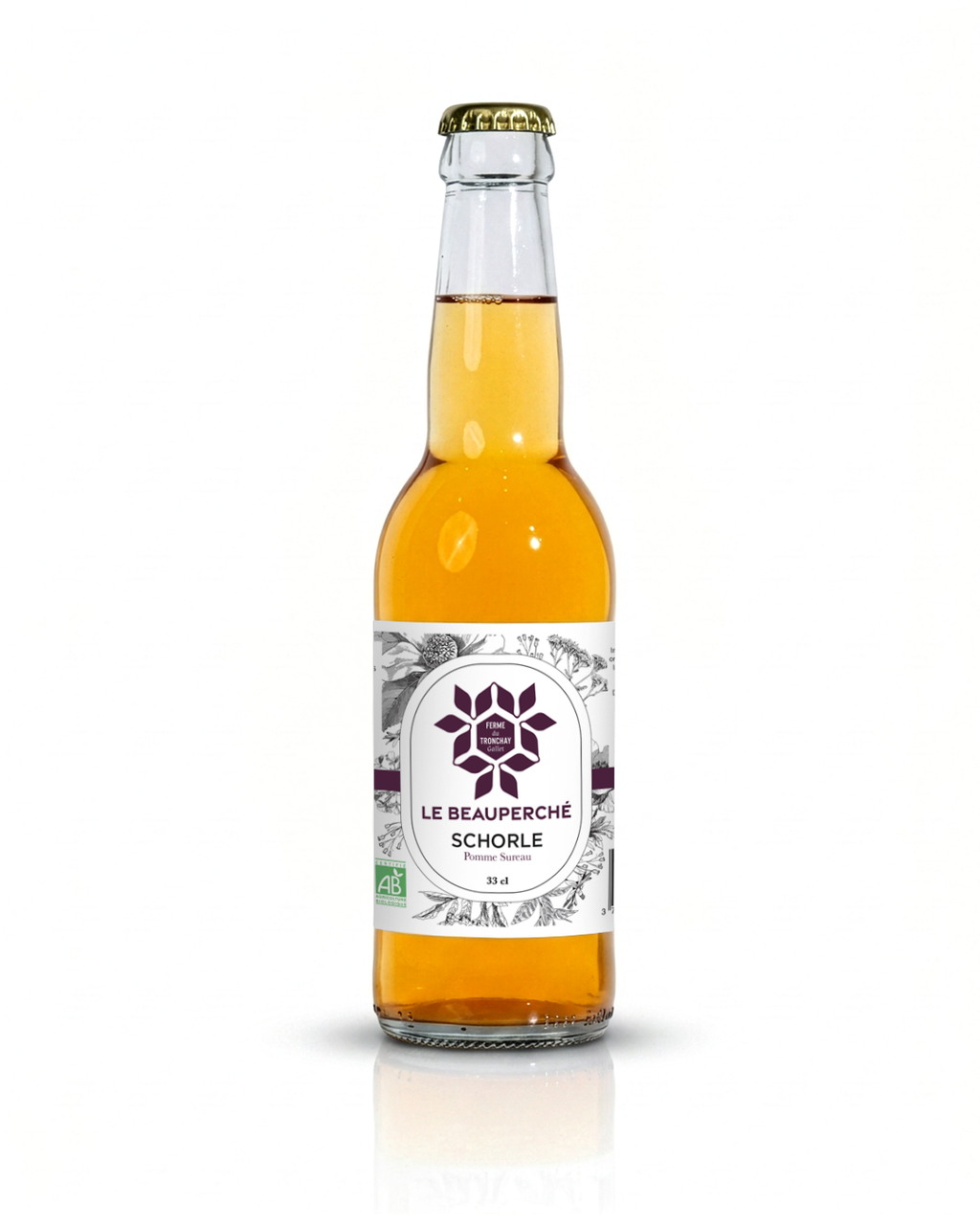 Schorle de pommes à cidre au Sureau 33 cl