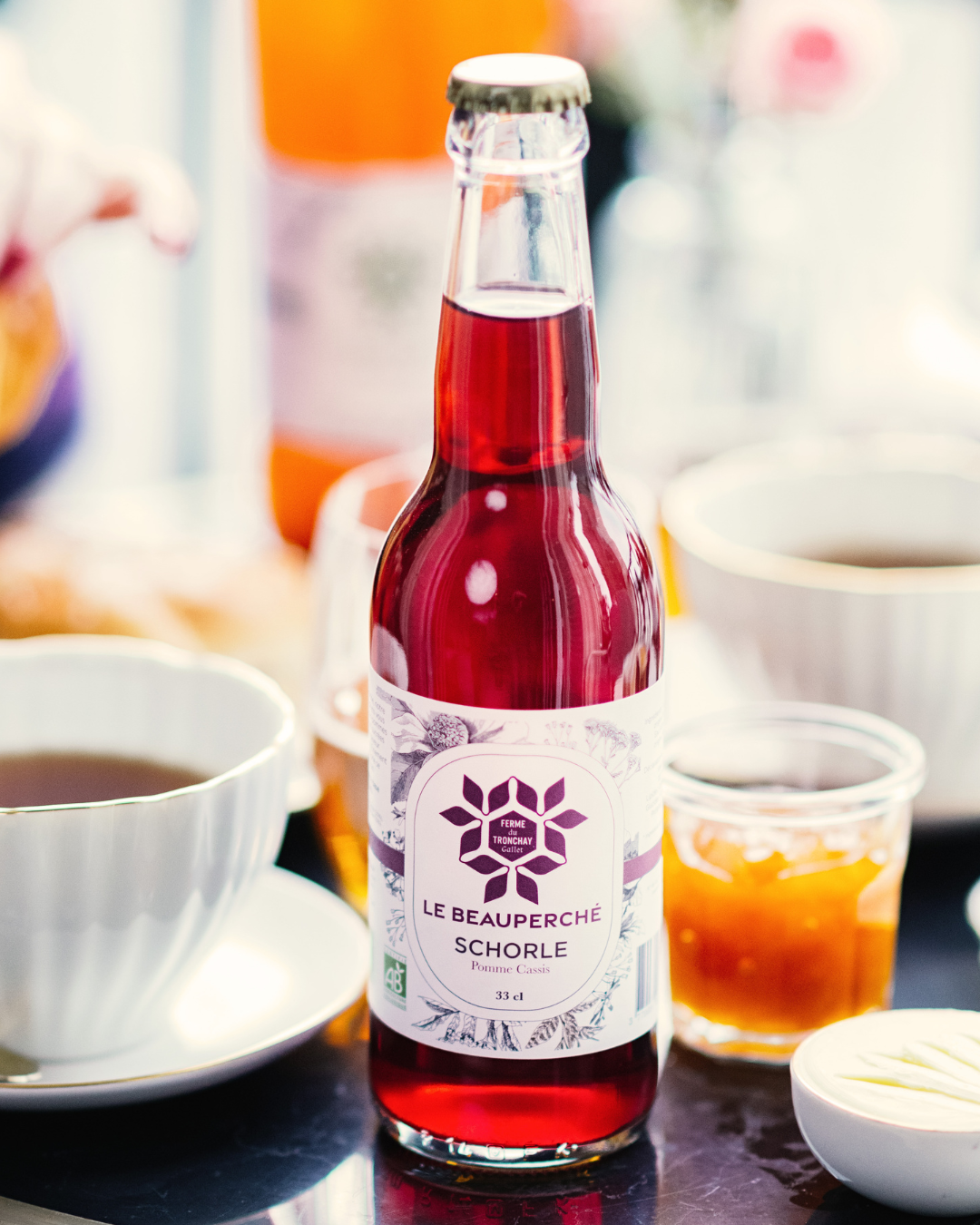 Schorle de pommes à cidre au cassis 33 cl